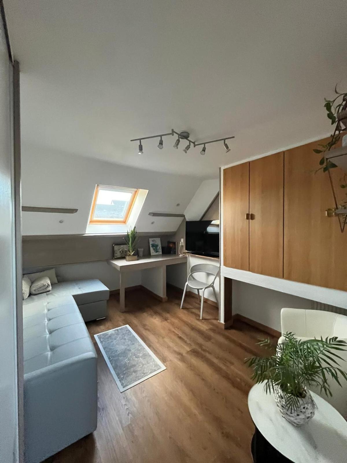 Appartement Type Loft Avec Terrasse Cherbourg-en-Cotentin Exterior photo